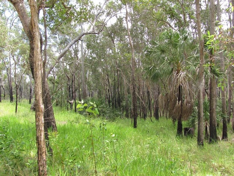 274 Mitchell Road, Mount Maria QLD 4674