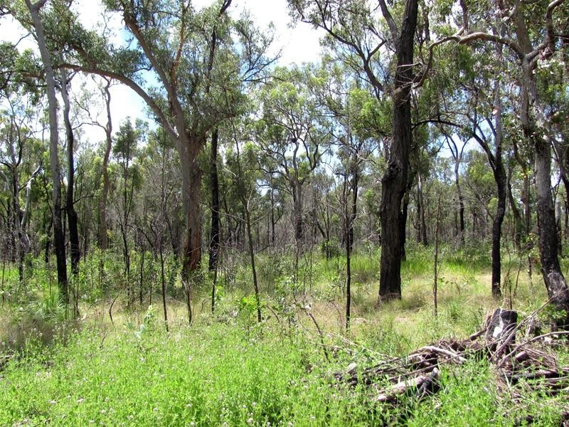 274 Mitchell Road, Mount Maria QLD 4674