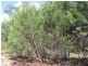 Deepwater QLD 4674