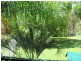 Mount Maria QLD 4674