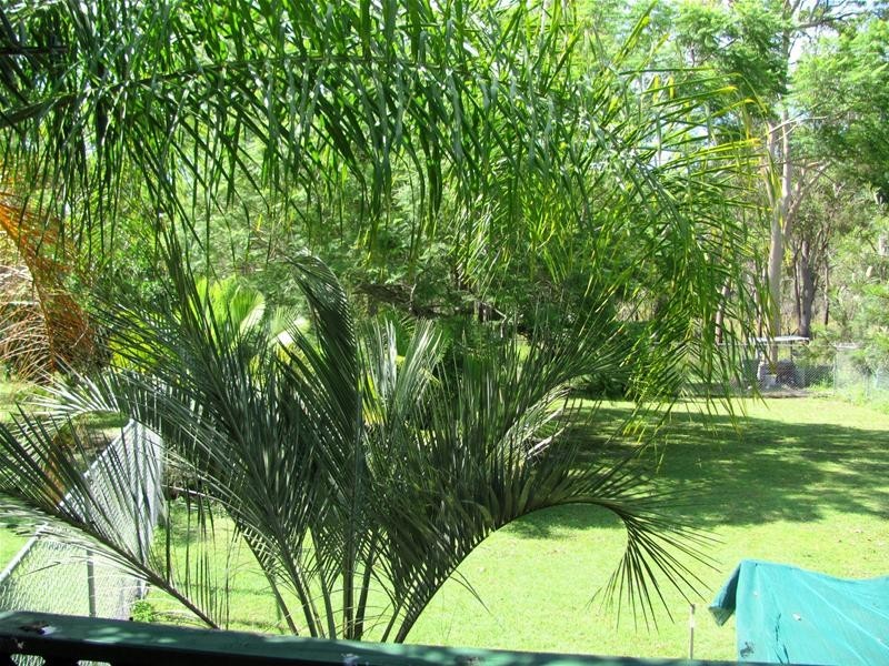 Mount Maria QLD 4674