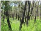 Mount Maria QLD 4674
