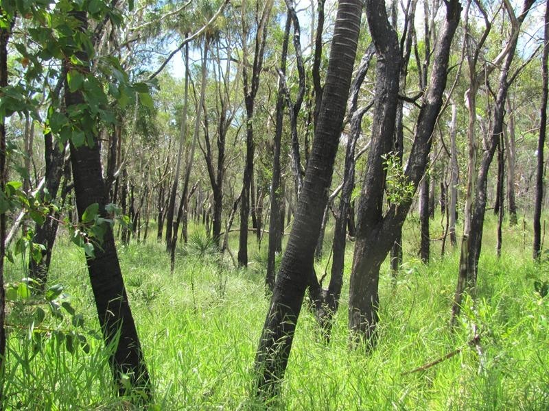 Mount Maria QLD 4674