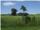 Woongarra QLD 4670
