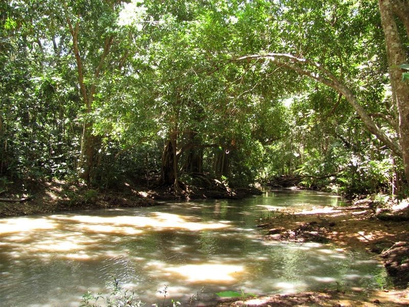 Captain Creek QLD 4677