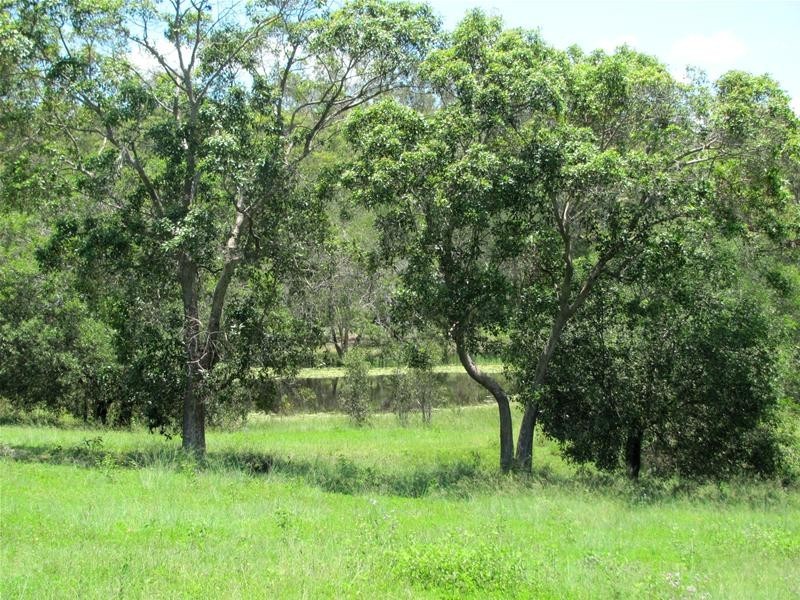 Captain Creek QLD 4677