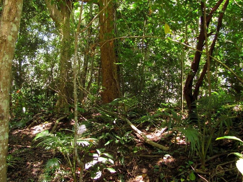 Captain Creek QLD 4677