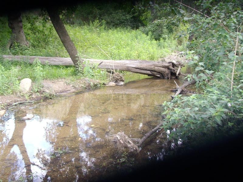 Wonbah Forest QLD 4671