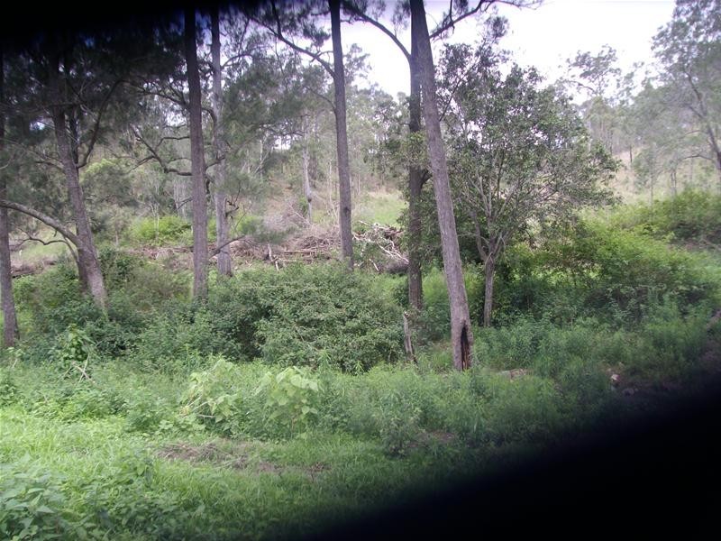 Wonbah Forest QLD 4671