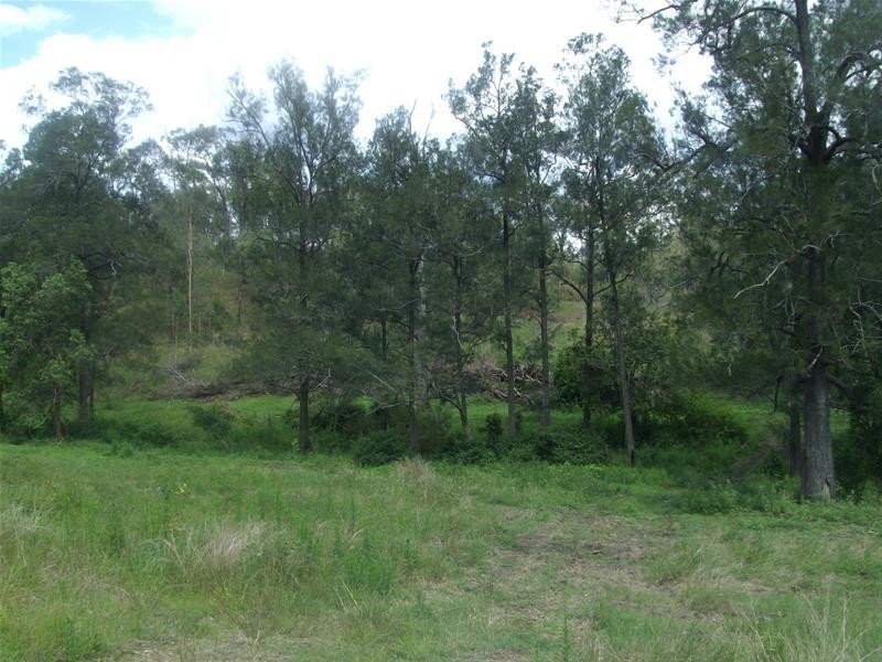 Wonbah Forest QLD 4671