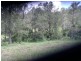 Wonbah Forest QLD 4671