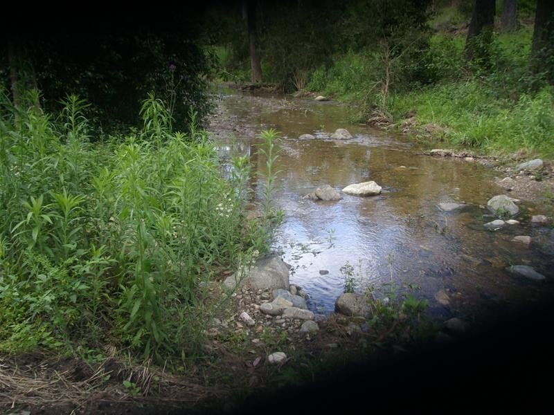 Wonbah Forest QLD 4671