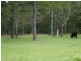 South Kolan QLD 4670