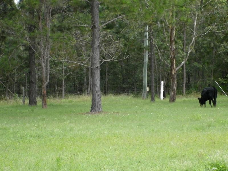 South Kolan QLD 4670