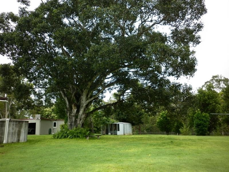 South Kolan QLD 4670