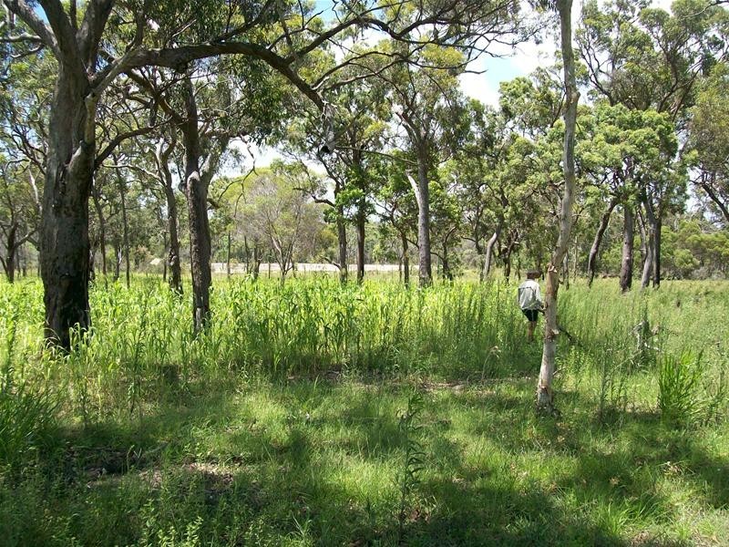 Deepwater QLD 4674