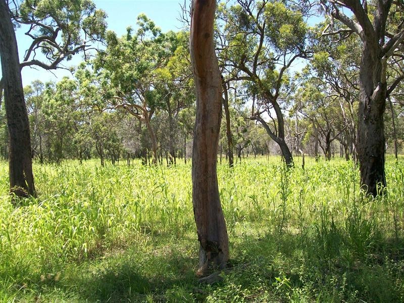 Deepwater QLD 4674