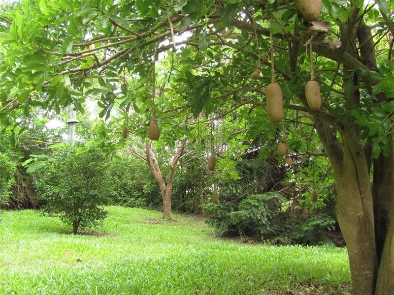 Lot/96 Seeds Road, Mount Maria QLD 4674