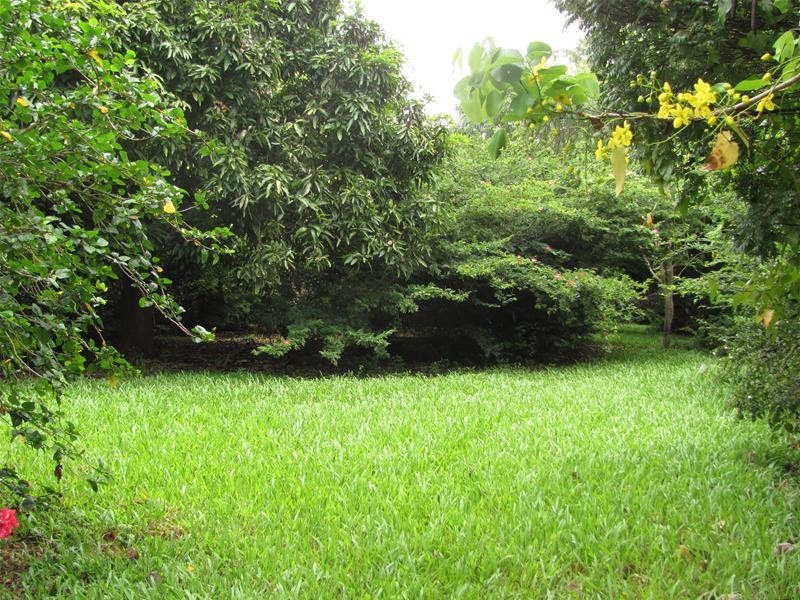 Lot/96 Seeds Road, Mount Maria QLD 4674
