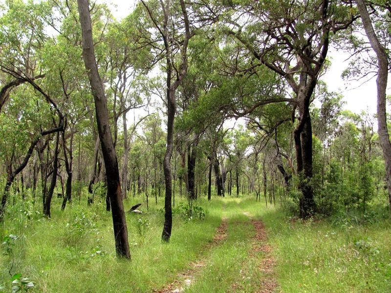 Mount Maria QLD 4674