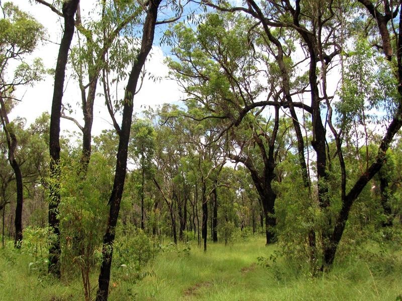 Mount Maria QLD 4674