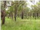 Mount Maria QLD 4674