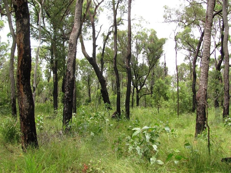 Mount Maria QLD 4674