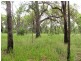 Mount Maria QLD 4674