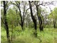 Mount Maria QLD 4674