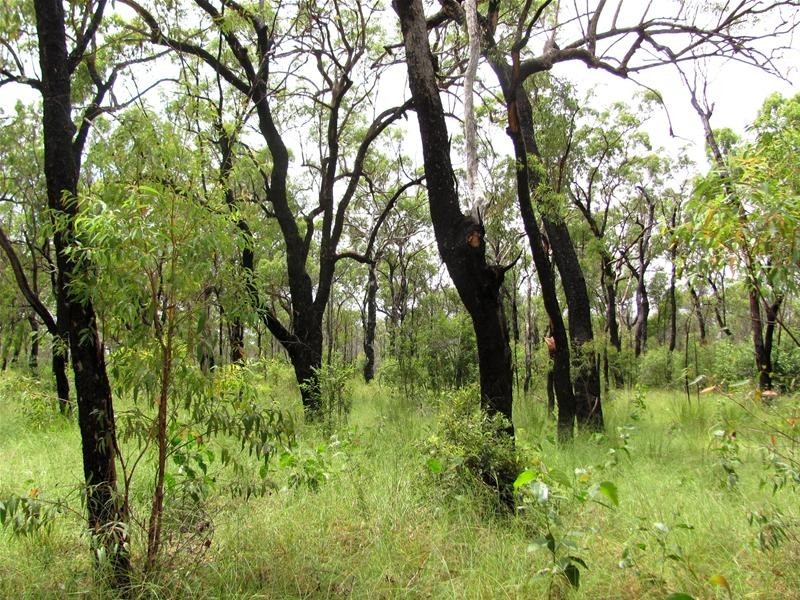 Mount Maria QLD 4674