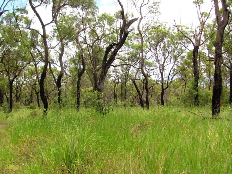 Mount Maria QLD 4674