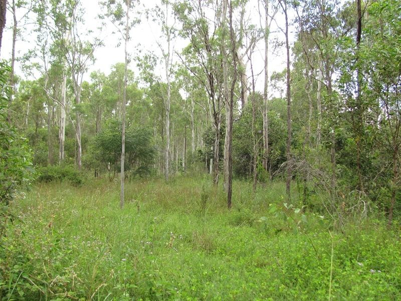 824 Ferry Road, Rosedale QLD 4674
