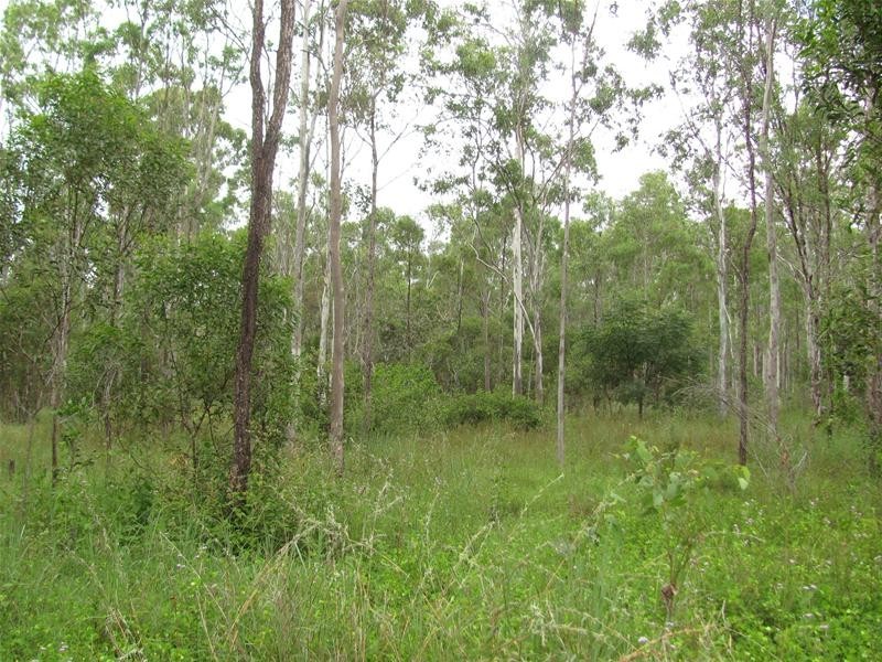 824 Ferry Road, Rosedale QLD 4674