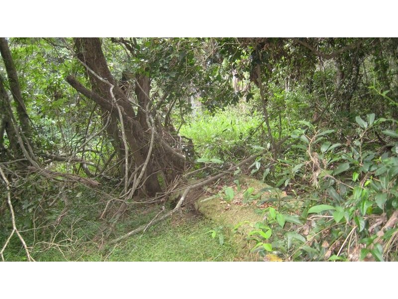 Mullett Creek QLD 4670