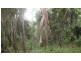 Mullett Creek QLD 4670