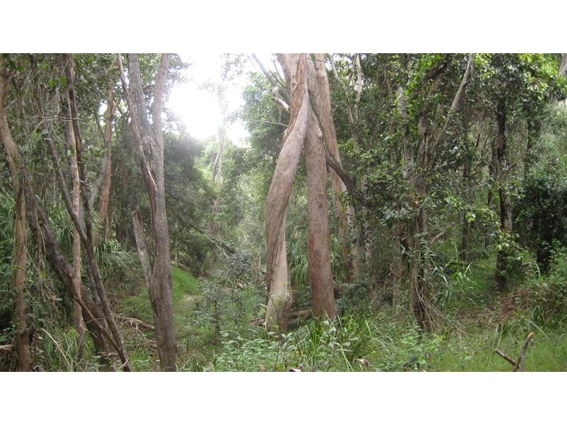 Mullett Creek QLD 4670