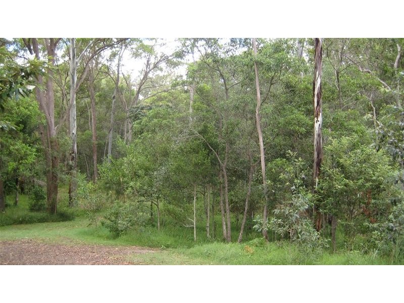 Mullett Creek QLD 4670