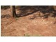 Takilberan QLD 4671