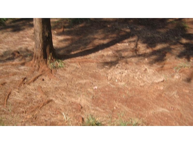 Takilberan QLD 4671