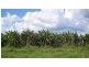 Takilberan QLD 4671