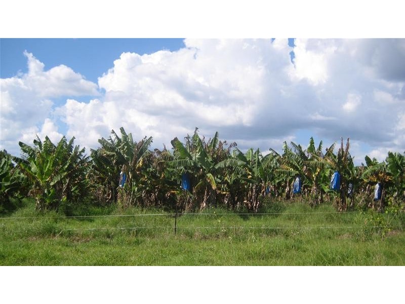 Takilberan QLD 4671