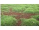 Takilberan QLD 4671