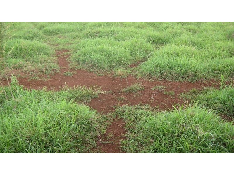 Takilberan QLD 4671