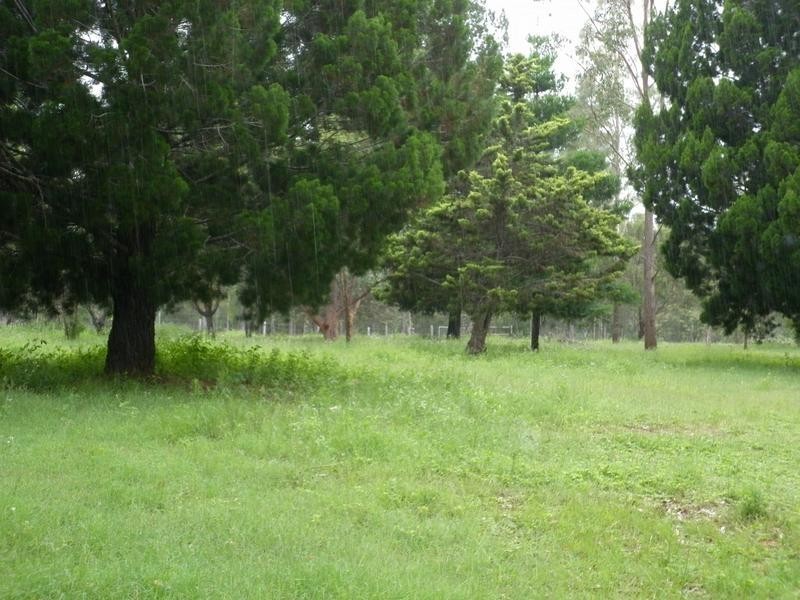 South Kolan QLD 4670