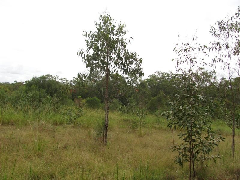 Lot 72/ Wills Road, Rosedale QLD 4674