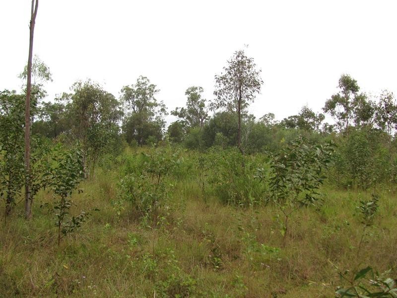 Lot 72/ Wills Road, Rosedale QLD 4674
