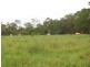 299 Lower Waterloo Road, Yandaran QLD 4673