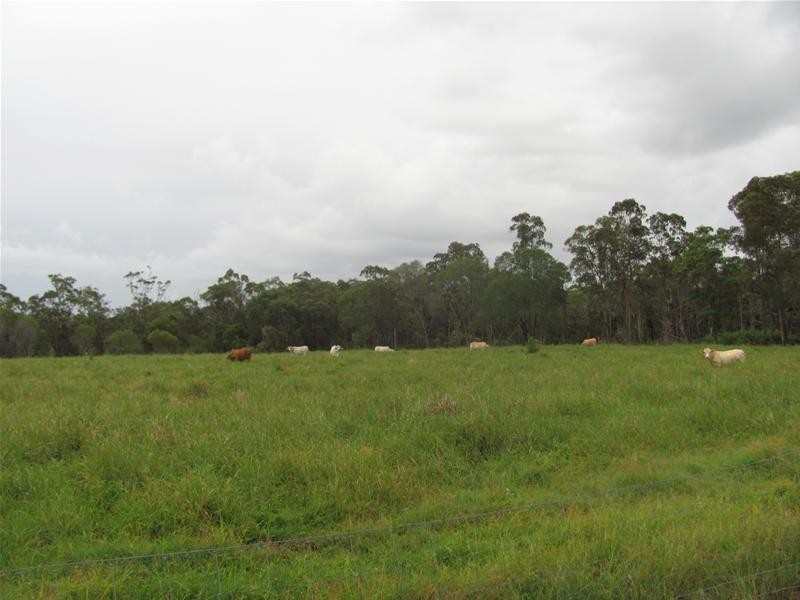 299 Lower Waterloo Road, Yandaran QLD 4673