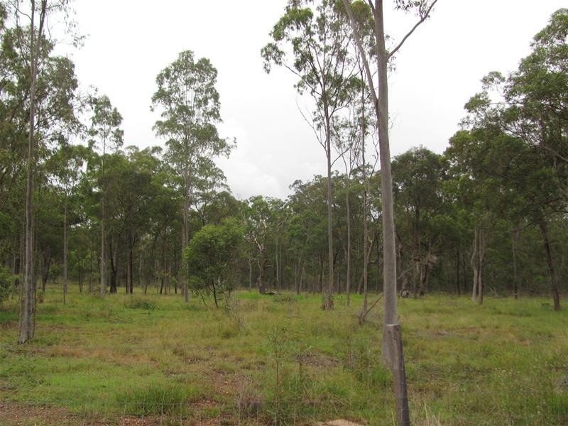 299 Lower Waterloo Road, Yandaran QLD 4673