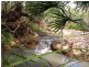 Lowmead QLD 4676